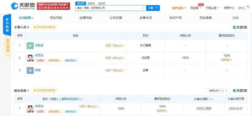 陳思成海南成立投資公司，業務涵蓋資金投資與項目策劃服務